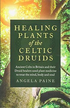 portada Healing Plants of the Celtic Druids: Ancient Celts in Britain and Their Druid Healers Used Plant Medicine to Treat the Mind, Body and Soul (en Inglés)