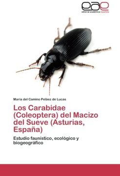 portada Los Carabidae (Coleoptera) del Macizo del Sueve (Asturias, Espana)