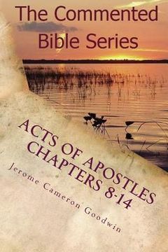 portada Acts Of Apostles Chapters 8-14: Keep On Bearing Witness To the Truth (en Inglés)