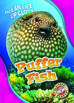 portada Puffer Fish
