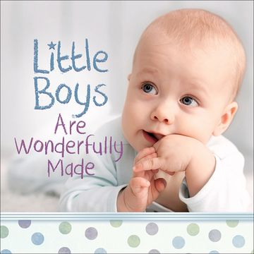 portada Little Boys are Wonderfully Made (en Inglés)