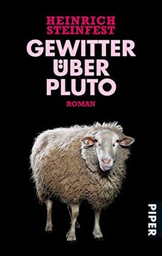portada Gewitter Über Pluto: Roman (en Alemán)