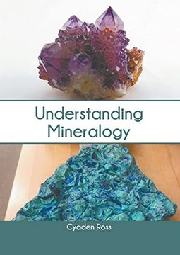 portada Understanding Mineralogy 