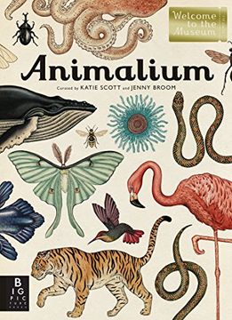 portada Animalium: Welcome to the Museum 