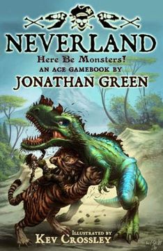 portada Neverland: A Fantastical Adventure (Snowbooks Adventure Gams) (in English)