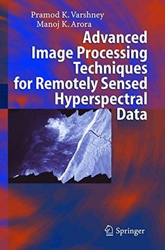 advanced image processing techniques for remotely sensed hyperspectral data