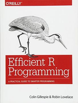 portada Efficient r Programming: A Practical Guide to Smarter Programming (in English)