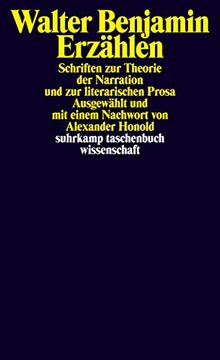 portada Erzählen: Schriften zur Theorie der Narration und zur Literarischen Prosa (Suhrkamp Taschenbuch Wissenschaft) (in German)
