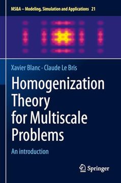 portada Homogenization Theory for Multiscale Problems: An Introduction (en Inglés)