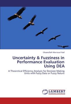 portada uncertainty & fuzziness in performance evaluation using dea (in English)