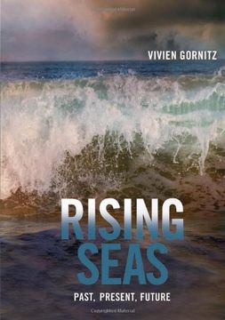 portada rising seas