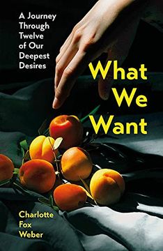 portada What we Want: A Journey Through Twelve of our Deepest Desires (Paperback)