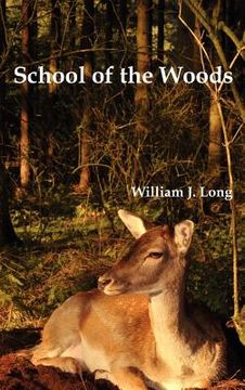 portada school of the woods: some life studies of animal instincts and animal training (en Inglés)