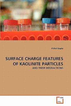 portada surface charge features of kaolinite particles (en Inglés)
