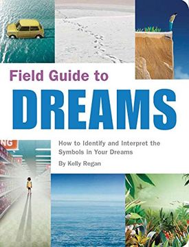 portada Field Guide to Dreams: How to Identify and Interpret the Symbols in Your Dreams (en Inglés)