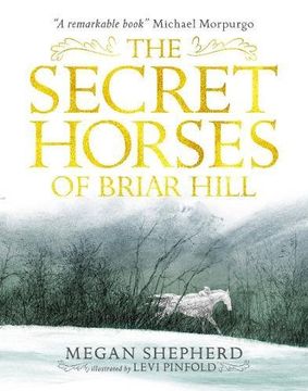portada The Secret Horses of Briar Hill