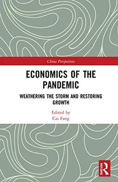 portada Economics of the Pandemic (China Perspectives) (en Inglés)