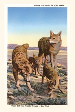 portada Vintage Journal Coyote Family (en Inglés)