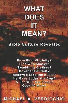 portada What Does It Mean?: Bible Culture Revealed (in English)