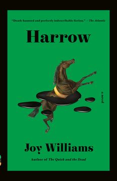 portada Harrow: A Novel (Vintage Contemporaries) (en Inglés)