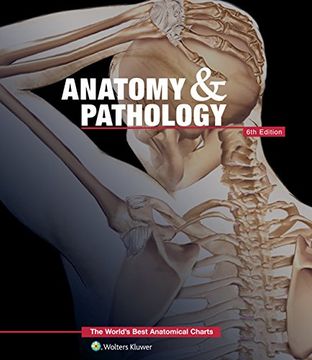 portada Anatomy & Pathology: The World's Best Anatomical Charts Book (The World's Best Anatomical Chart Series) (en Inglés)