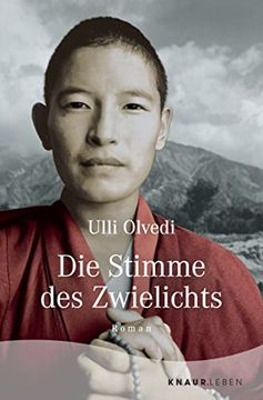 portada Die Stimme des Zwielichts: Roman. Die Fortsetzung des Tibetromans »Wie in Einem Traum«