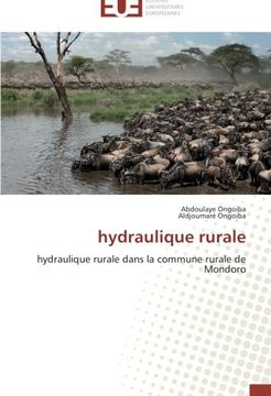 portada hydraulique rurale: hydraulique rurale dans la commune rurale de Mondoro