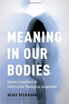 portada Meaning in Our Bodies: Sensory Experience as Constructive Theological Imagination (AAR ACADEMY SER)