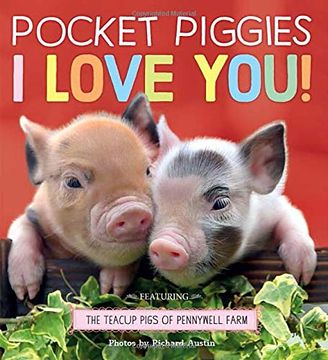 portada Pocket Piggies: I Love You! (Teacup Pigs of Pennywell Farm) (in English)