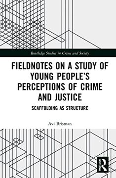 portada Fieldnotes on a Study of Young People’S Perceptions of Crime and Justice: Scaffolding as Structure (Routledge Studies in Crime, Security and Justice) (en Inglés)