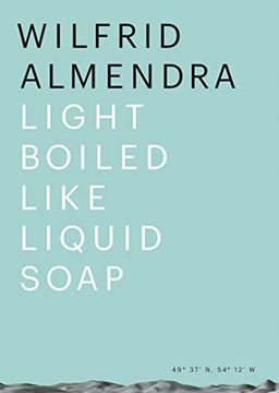portada Wilfrid Almendra - Light Boiled Liek Liquid Soap (Sternberg Press) 