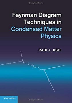 portada Feynman Diagram Techniques in Condensed Matter Physics (in English)