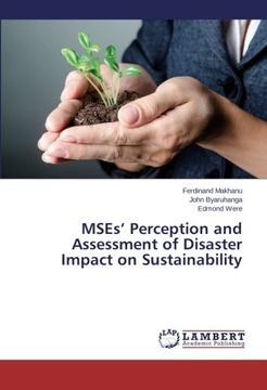 portada MSEs’ Perception and Assessment of Disaster Impact on Sustainability