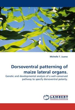 portada dorsoventral patterning of maize lateral organs.