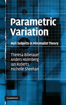 portada Parametric Variation Hardback (in English)