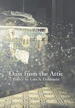 portada Dust From the Attic (en Inglés)