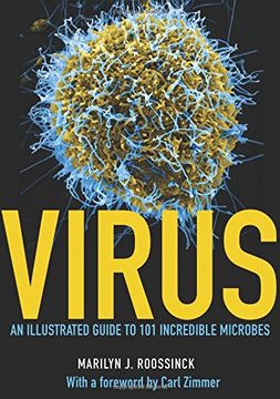 Virus: An Illustrated Guide to 101 Incredible Microbes (en Inglés)