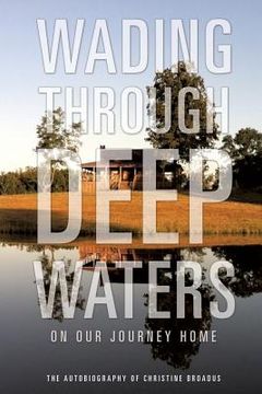 portada Wading Through Deep Waters (in English)