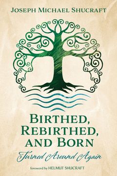 portada Birthed, Rebirthed, and Born: Turned Around Again (in English)