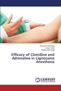 portada Efficacy of Clonidine and Adrenaline in Lignocaine Anesthesia