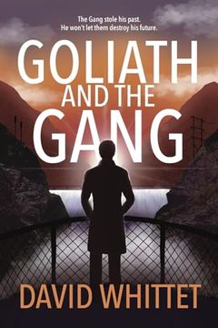 portada Goliath and the Gang