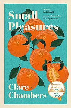 portada Small Pleasures: Longlisted for the Women’S Prize for Fiction 2021 (en Inglés)