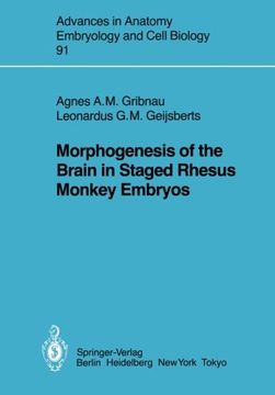 portada morphogenesis of the brain in staged rhesus monkey embryos (en Inglés)