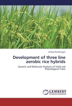 portada Development of three line aerobic rice hybrids: Genetic and Molecular Analysis of Yield and Physiological Traits
