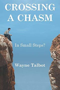 portada Crossing a Chasm: In Small Steps? (en Inglés)