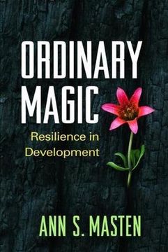 portada Ordinary Magic: Resilience in Development