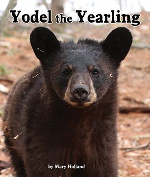 portada Yodel the Yearling