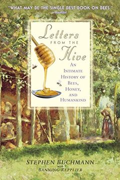 portada Letters From the Hive: An Intimate History of Bees, Honey, and Humankind (en Inglés)