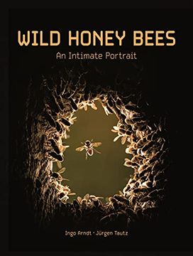 portada Wild Honey Bees: An Intimate Portrait (en Inglés)