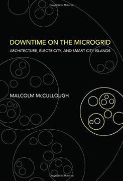 portada Downtime on the Microgrid: Architecture, Electricity, and Smart City Islands (Infrastructures) (en Inglés)